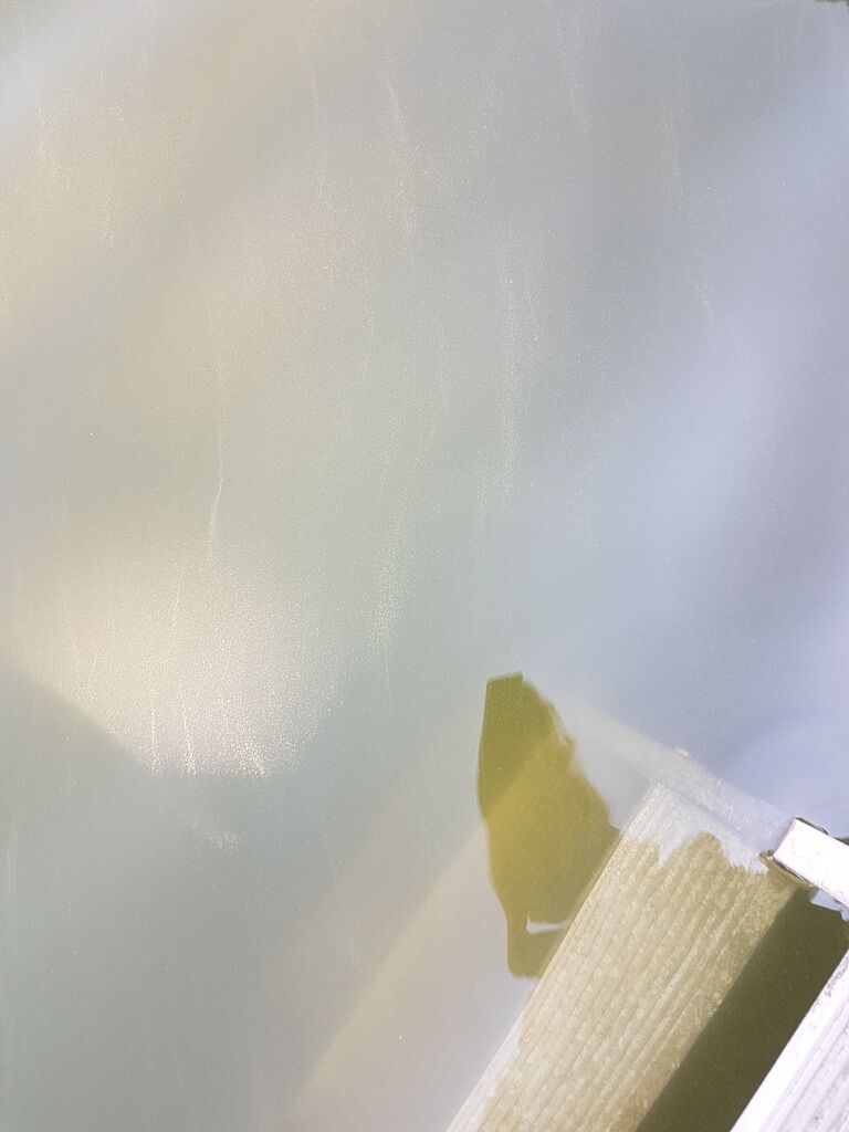 Paimionselän keskiosa-Havaintopaikka 4-ObsIMG-202006281130-66.jpg