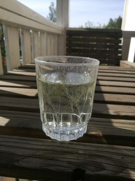 Rautavesi (14.831.1.001)-Lankiansalmi-ObsIMG-201906171035-40.jpg