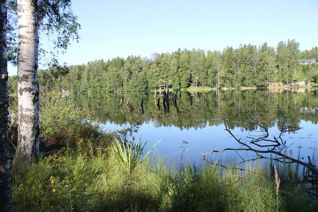 Storträsk Brunnebergintie kaakkoisranta.JPG
