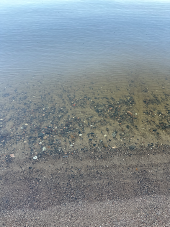 Ukonvesi (Saimaa) (04.151.1.001)-Koivukummunpolku-ObsALG-202308141956-64da5c3dbf173.png