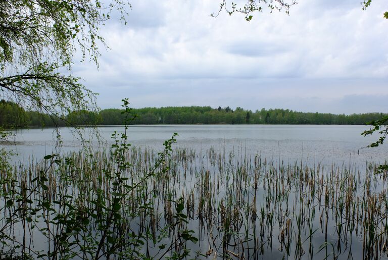 Kirkkojarvi Kangasala 2.jpg