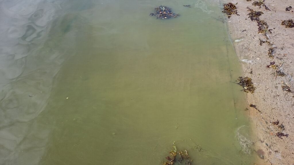 Sandöfjärden-Baggö Marina-ObsIMG-201806261057-36.jpg