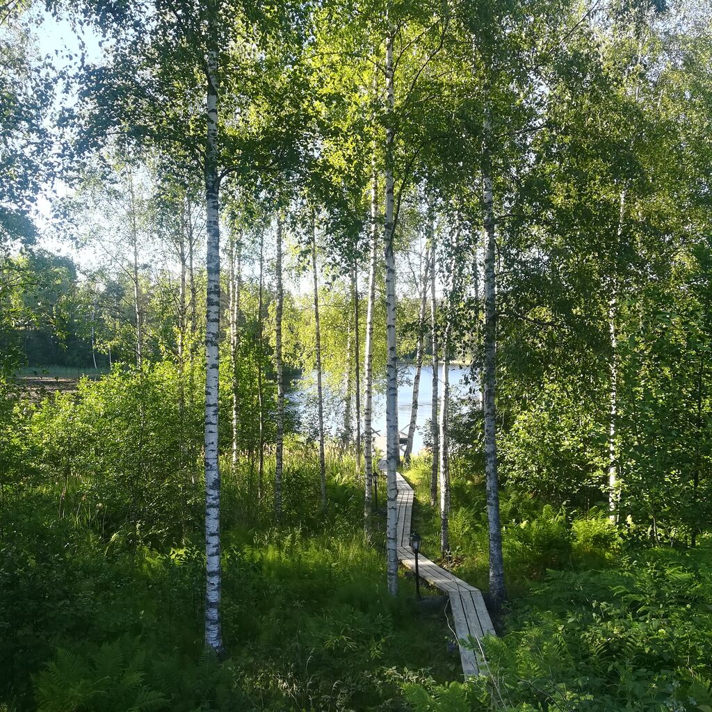 Tesväri (23.023.1.005)-Havaintopaikka 2-ObsIMG-201906212013-5.jpg