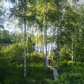 Tesväri (23.023.1.005)-Havaintopaikka 2-ObsIMG-201906212013-5.jpg