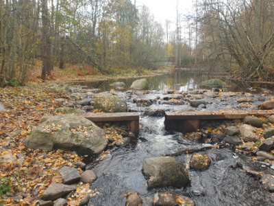 Urpolanjoen valuma-alue (04.152)-Urpolan aarimaan puistoväylän silta-ObsIMG-202510191005-1760857704527.png