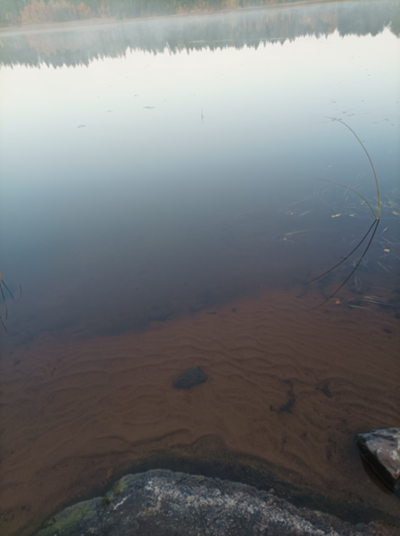 Tiedosto:Evijärvi (47.021.1.001)-Valtakunnallinen sinileväseuranta (Sillankorvan leirintäalue)-ObsALG-202109290745-6153f00eab705.png