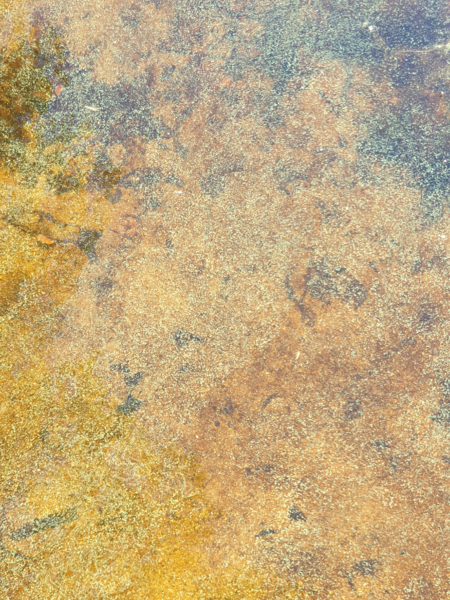 Tiedosto:Kyyvesi (14.932.1.001)-Vehkasaari-ObsIMG-202107031704-60e06f28c535b.png