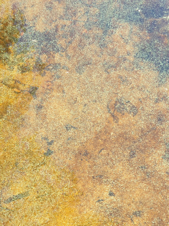 Kyyvesi (14.932.1.001)-Vehkasaari-ObsIMG-202107031704-60e06f28c535b.png