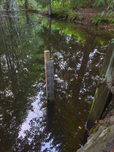 Urpolanjoen valuma-alue (04.152)-Urpolan aarimaan puistoväylän silta-ObsIMG-202509181906-1758211662559.png