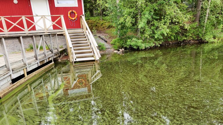 Vähä-Tiilijärvi, levätilanne.jpeg