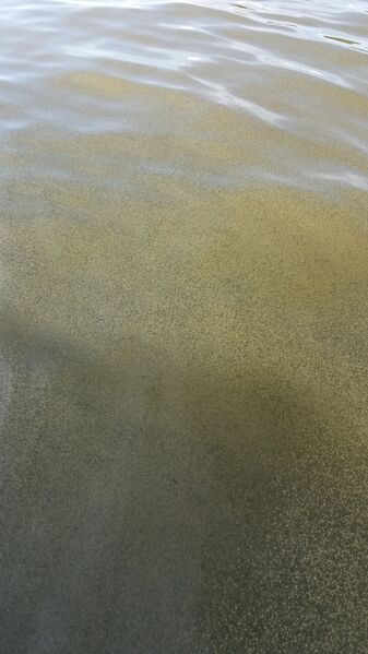 Tiedosto:20170727 175621.jpg