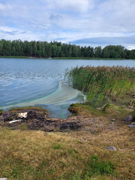 Tiedosto:Havaintopaikka 2-ObsALG-202307220843-64bb6cd8ba4b2.png