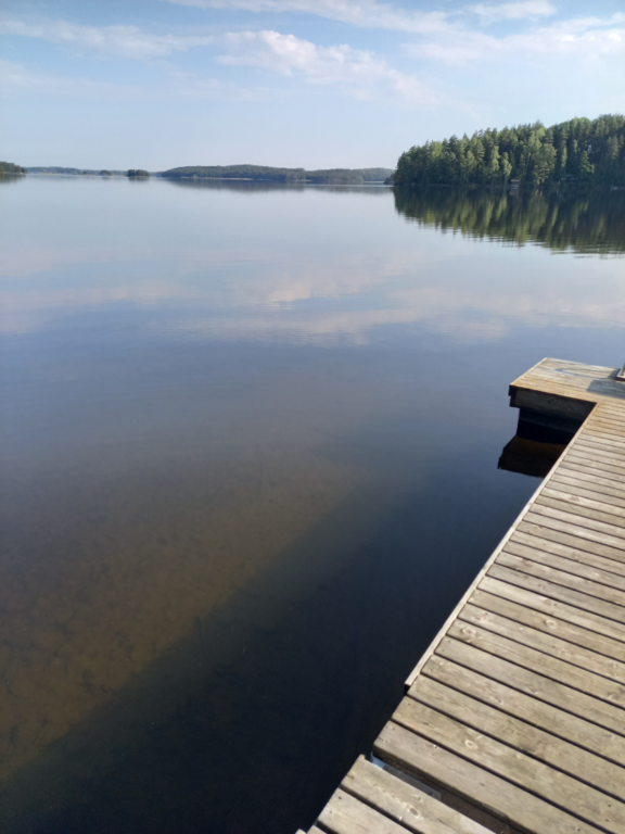 Saimaa (04.112.1.001)-Rotarien sinileväseuranta (Pulkkaselkä, Hietalahti)-ObsIMG-202208281143-630b2ade80bd4.png