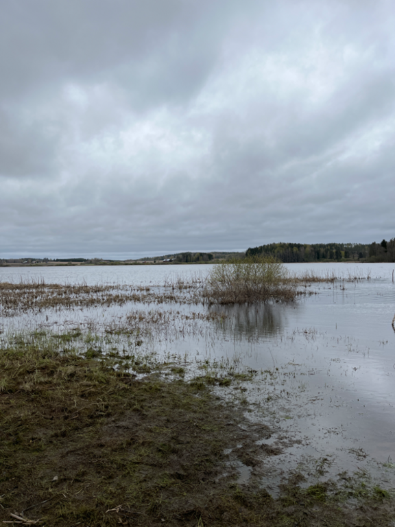 Vanjärvi (23.042.1.001)-Lintutorni-ObsTEMP-202405101019-663dcb0af2654.png