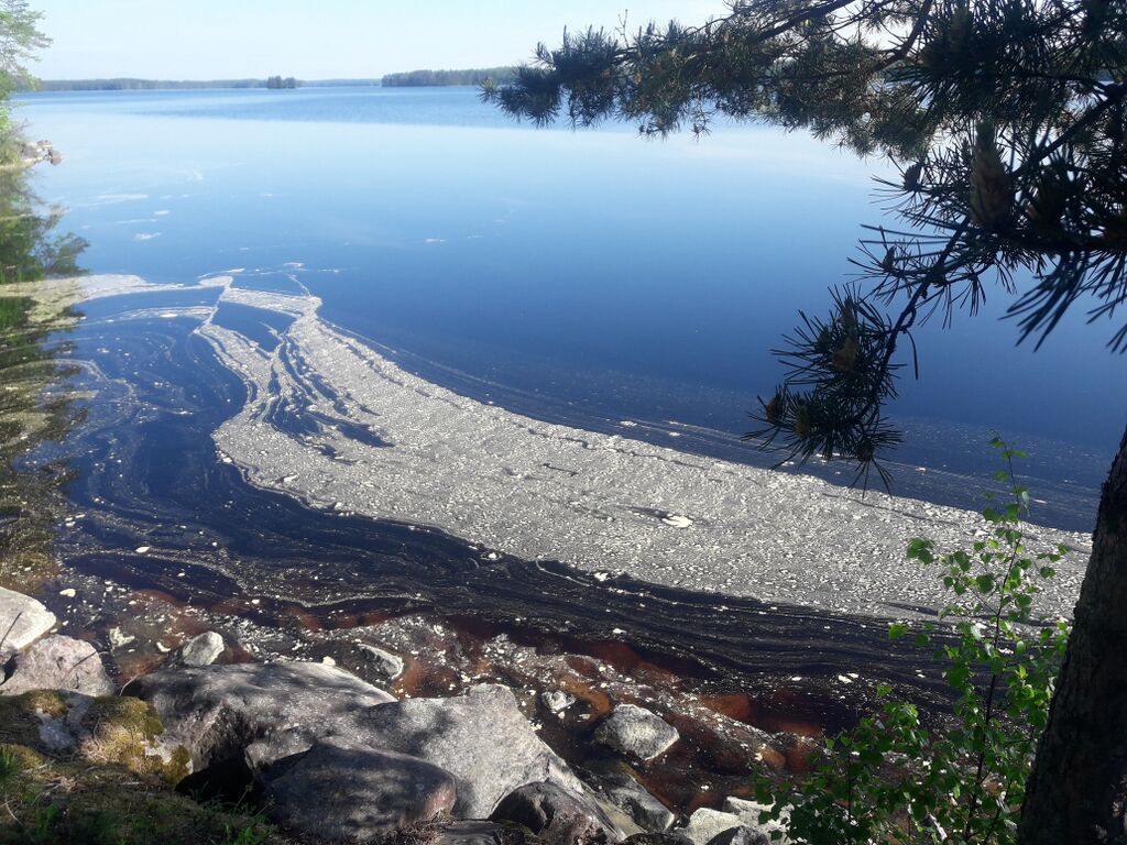 09062021 Ähtärinjärvi Kylmälahti 4.jpg