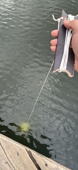 IMG 6391.jpeg