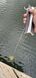 IMG 6391.jpeg