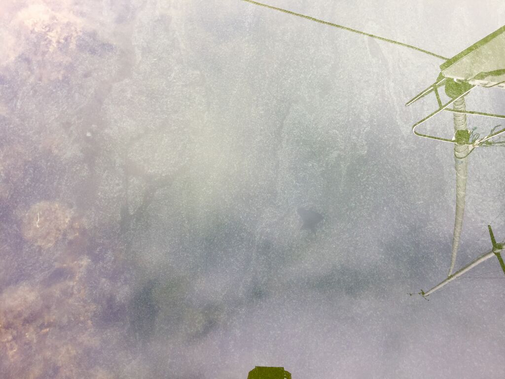 Paraisten ja Nauvon välinen vesialue-Finnholm Halsholm-ObsIMG-201807040902-94.jpeg