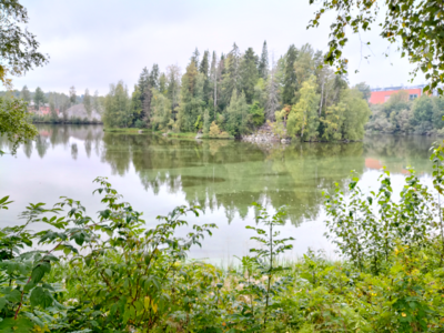 Pyhäjärven lähialue (35.211)-Nokianvirta-ObsALG-202509071332-68bd5fb20278e.png