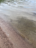 Pyhäjärvi (14.121.1.004)-Valtakunnallinen sinileväseuranta (Kirkkojärvi, Heinlahden uimaranta)-ObsIMG-202606300801-1782795786154.png