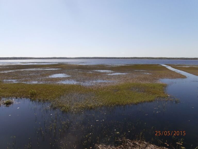 Ridasjärven lintutornista 3.JPG