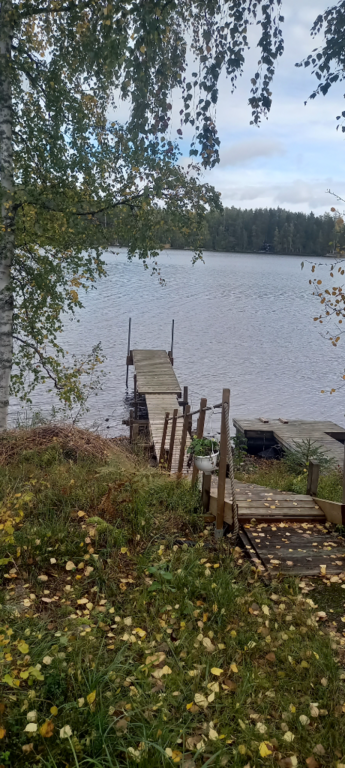 Saimaa (04.112.1.001)-Rotarien sinileväseuranta (Pulkkaselkä, Hietalahti)-ObsIMG-202409291302-66f9261999ff7.png