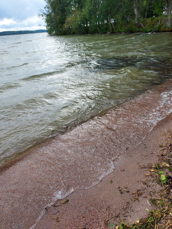 Vesijärvi (14.241.1.001)-Valtakunnallinen sinileväseuranta (pohjoisosa)-ObsIMG-202509161416-1758023554130.png