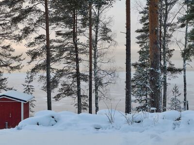 Höytiäinen 311225.jpg