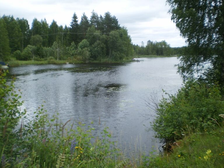 Kohti Kangasniemeä.JPG