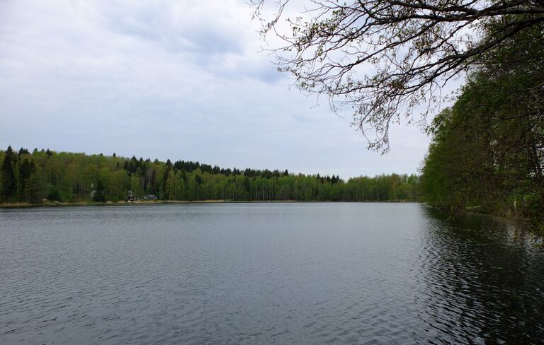 Suoramanjarvi uimaranta.jpg