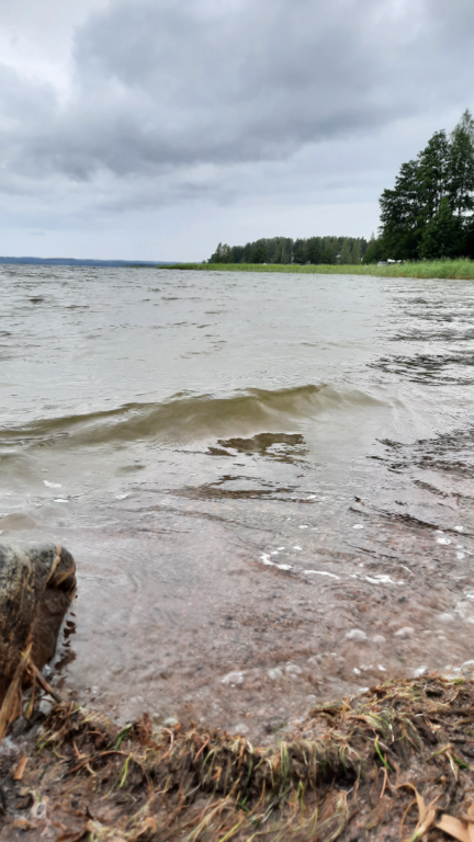 Vesijärvi (14.241.1.001)-Valtakunnallinen sinileväseuranta (Pirppulan uimaranta)-ObsIMG-202107201000-60f6771504207.png