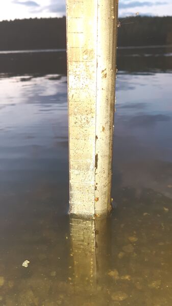 Tiedosto:20190819 220404.jpg