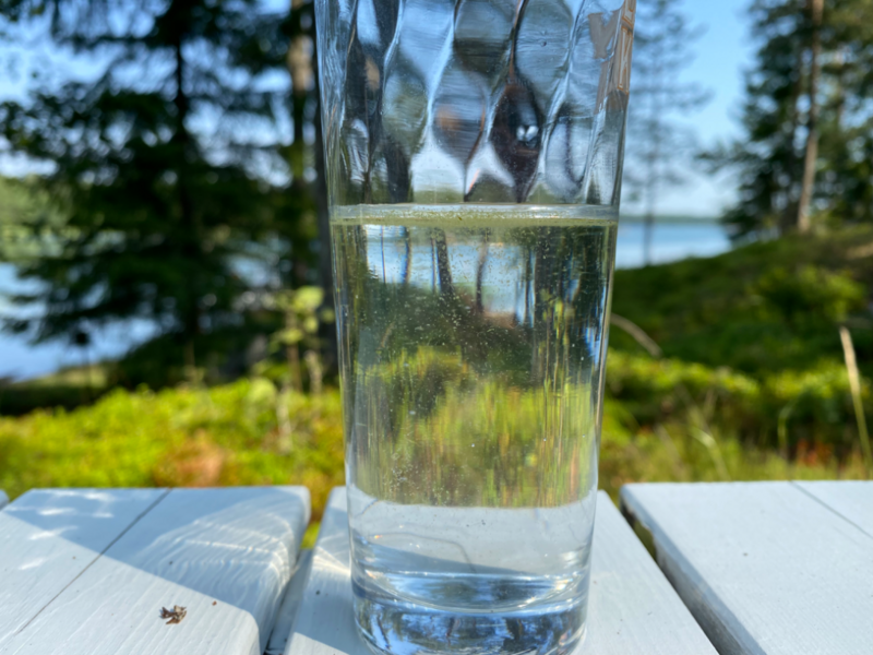 Tiedosto:Inkoo Fagervik-Österviken, Jakob Ramsjö-ObsIMG-202207221110-62da5c1045573.png