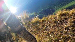 Koukkujärvi (35.242.1.008)-Koukkujärvi-ObsIMG-202510181849-68f3b7ecad317.png