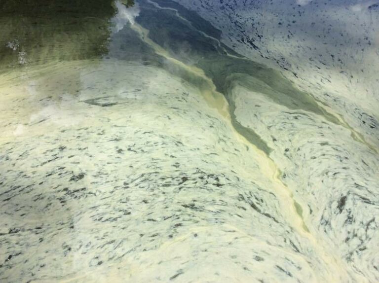 Loppijärvi (35.874.1.001)-Uimaranta-ObsIMG-201707081830-33.jpg