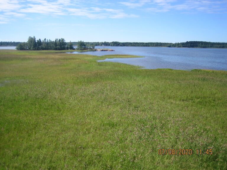 Meksinkallion lintutornista 1.JPG