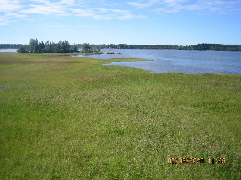 Tiedosto:Meksinkallion lintutornista 1.JPG