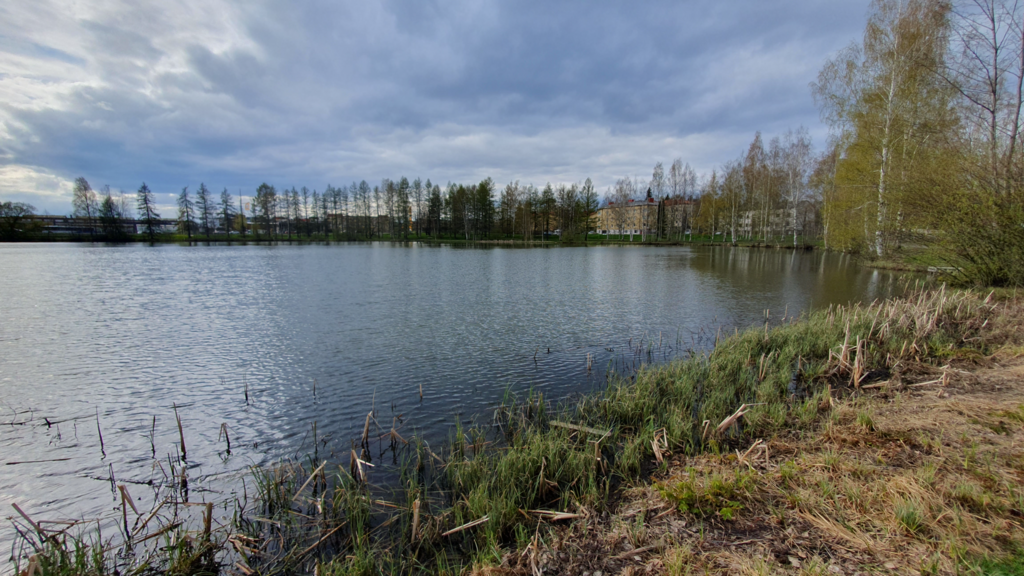 Pahalampi (35.214.1.003)-Pahalampi itäranta -ObsIMG-202505071758-681b7588e909e.png