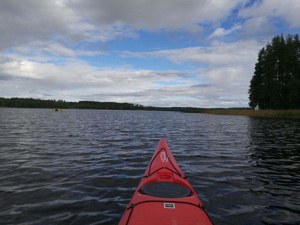 Ruovesi (yhd.)-Honhonselkä-ObsIMG-201608281057-73.jpg