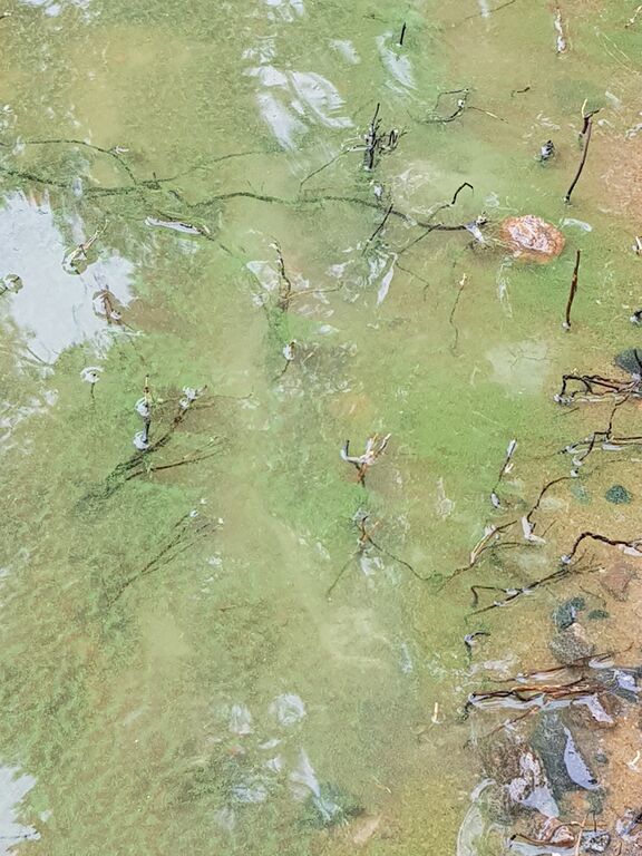 Hiidenvesi (23.031.1.001)-Havaintopaikka 3-ObsIMG-201906141015-17.jpg