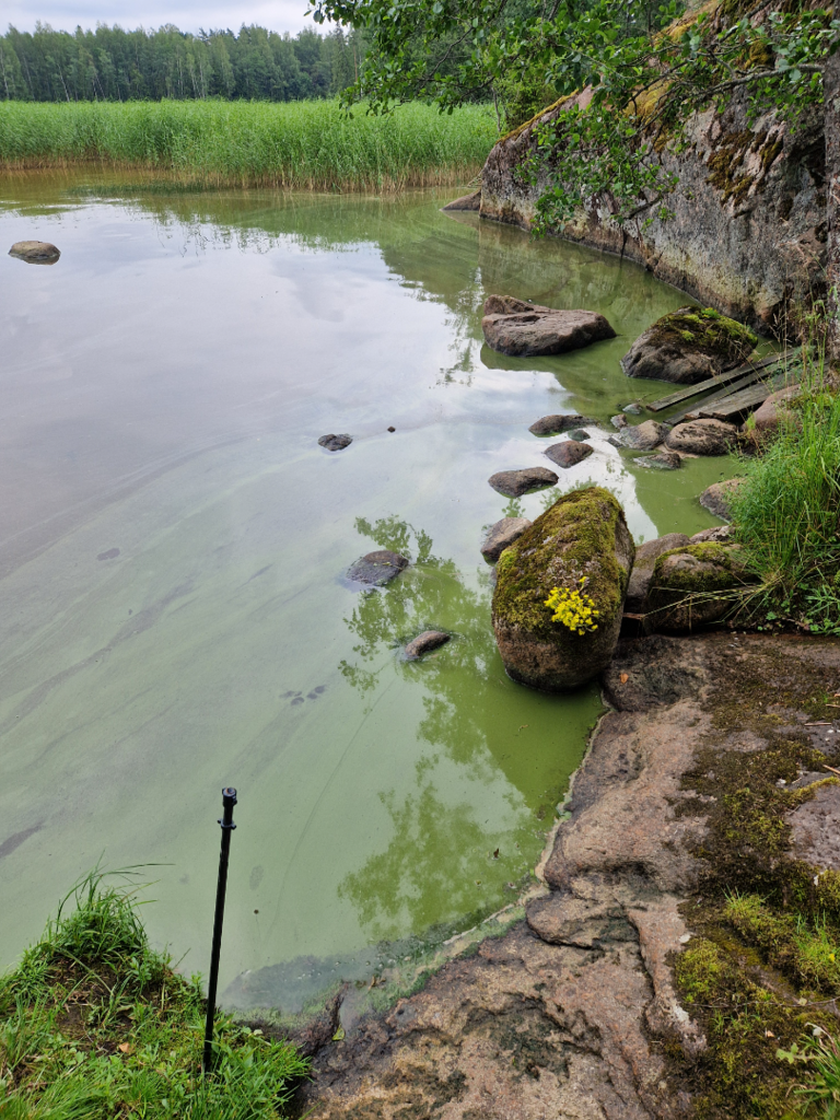 Pyhäjärvi (34.031.1.001)-Havaintopaikka 2-ObsIMG-202507131146-687372b380ee9.png