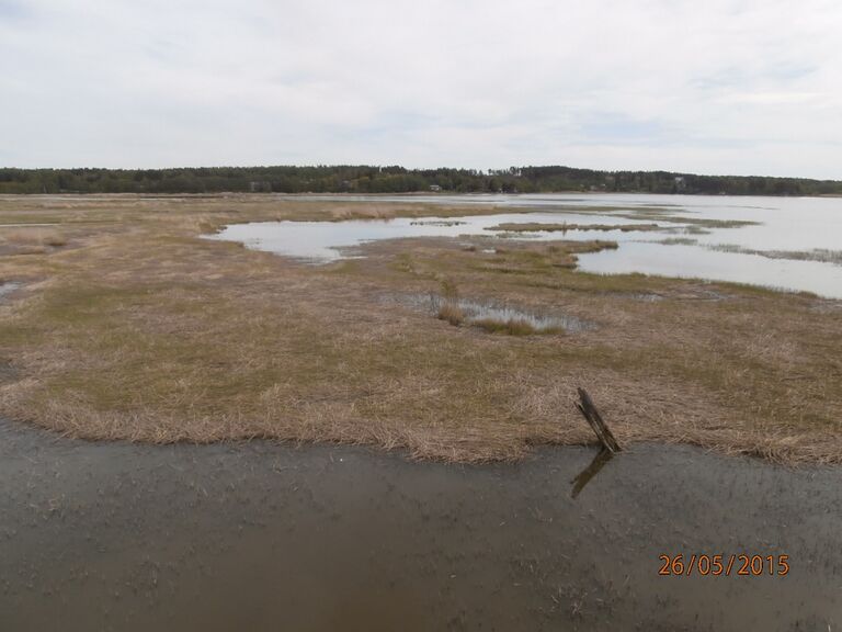 Sikosaaren lintutornista.JPG