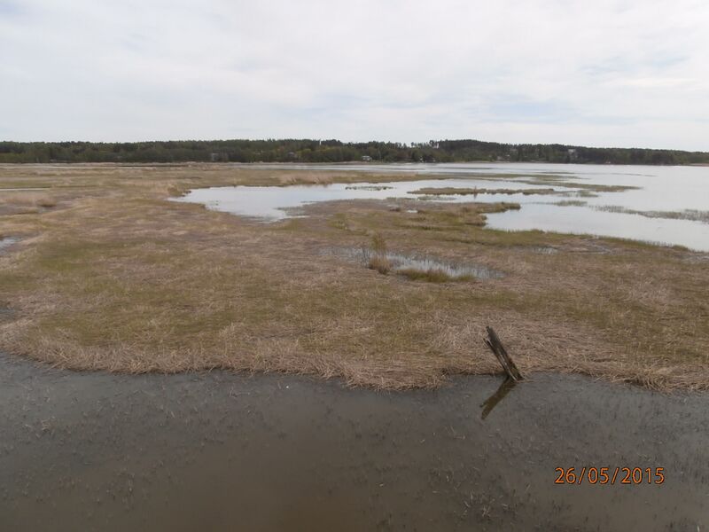 Tiedosto:Sikosaaren lintutornista.JPG