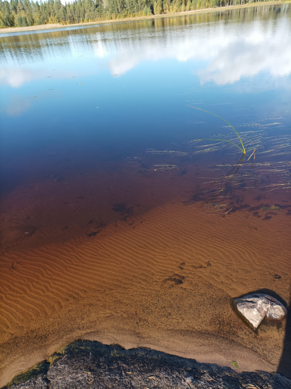 Evijärvi (47.021.1.001)-Valtakunnallinen sinileväseuranta (Sillankorvan leirintäalue)-ObsALG-202109151126-6141aea75a428.png