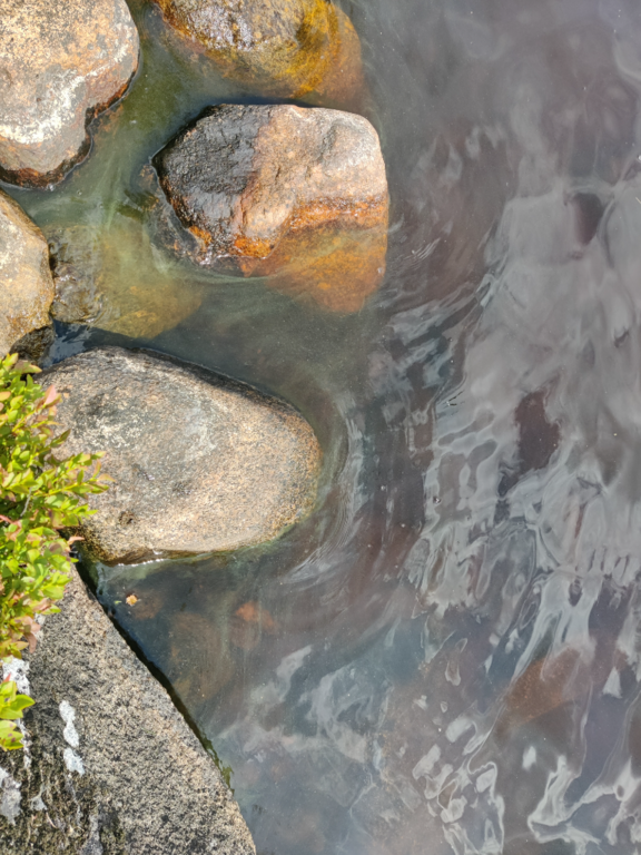 Kätkänjärvi (44.073.1.002)-Havaintopaikka 1-ObsALG-202307231414-64bd0bf2eaae4.png