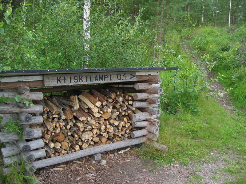 Tiedosto:Kiiskilampi.JPG
