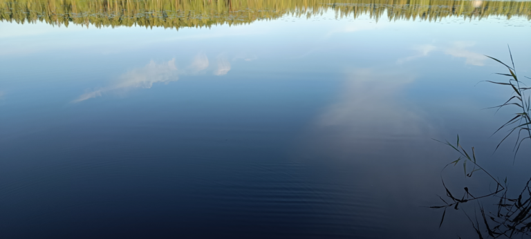 Kikurinjärvi (35.289.1.008)-Rotarien sinileväseuranta-ObsIMG-202509011847-1756741763749.png