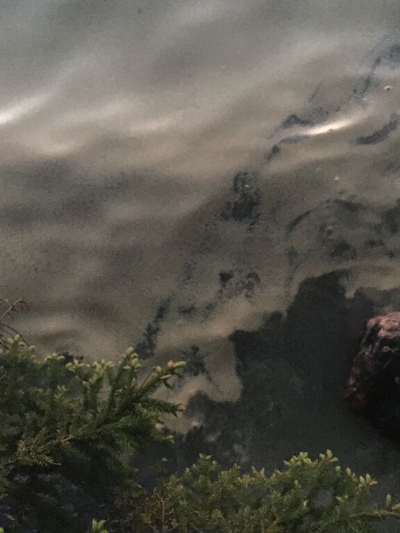 Näsijärvi (yhd.)-Luhtaanranta 1-ObsALG-202006110137-73.jpg