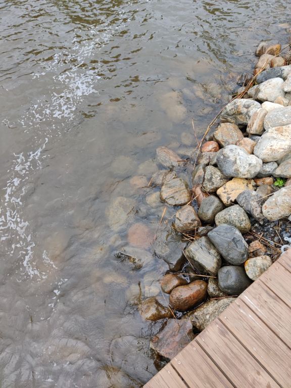 Päijänne (yhd.)-Valtakunnallinen sinileväseuranta (Majutvesi)-ObsALG-202307041629-64a41fa792c57.png