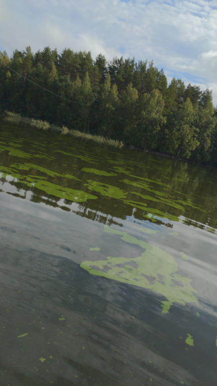 Suuri-Onkamo (04.372.1.001)-Havaintopaikka 2-ObsIMG-202208231344-6304b019a646d.png